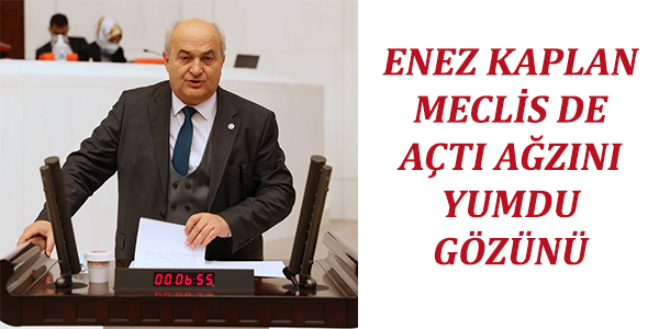 ENEZ KAPLAN MECLİS DE AÇTI AĞZINI YUMDU GÖZÜNÜ