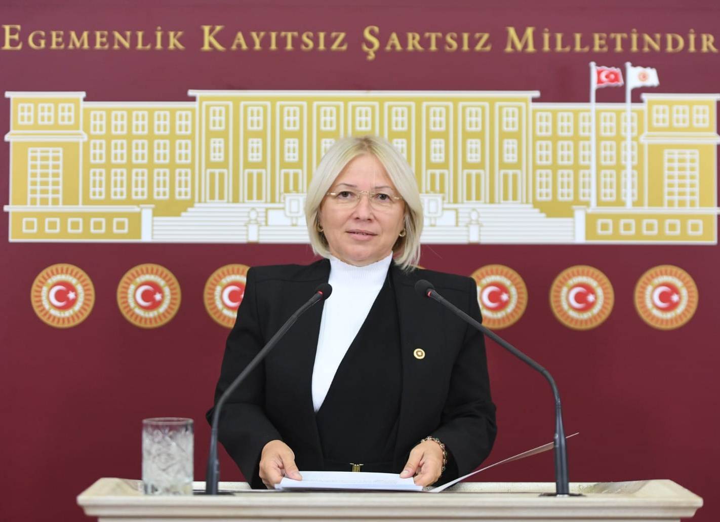 Cumhuriyet Halk Partisi (CHP) Tekirdağ Milletvekili Nurten Yontar, 20 milyon