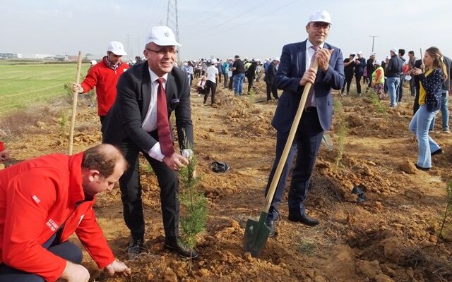 20 BİN FİDAN TOPRAKLA BULUŞTU