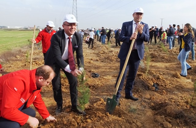 20 BİN FİDAN TOPRAKLA BULUŞTU