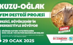 SON BAŞVURU 29 OCAK 2025