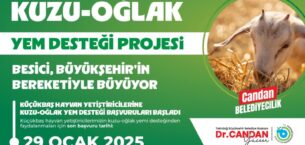 SON BAŞVURU 29 OCAK 2025