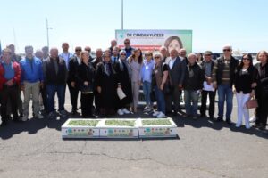BÜYÜKŞEHİR’DEN ÜRETİCİLERE FİDE DESTEĞİ
