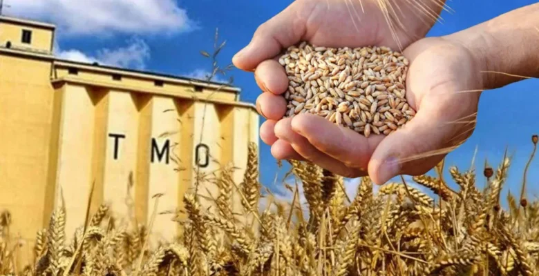 TMO TEKİRDAĞ 2025 HUBUBAT ALIM DÖNEMİNE HAZIR