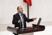 BİZ AĞACIN YEŞİLİ DİYORUZ, SİZ DOLARIN YEŞİLİ DİYORSUNUZ