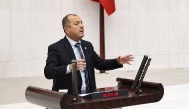 BİZ AĞACIN YEŞİLİ DİYORUZ, SİZ DOLARIN YEŞİLİ DİYORSUNUZ