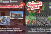 HANIMELİ ÇİLEK CAFE VE LAVANTA