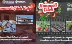 HANIMELİ ÇİLEK CAFE VE LAVANTA
