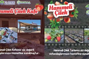 HANIMELİ ÇİLEK CAFE VE LAVANTA