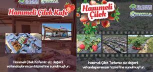 HANIMELİ ÇİLEK CAFE VE LAVANTA