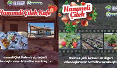 HANIMELİ ÇİLEK CAFE VE LAVANTA