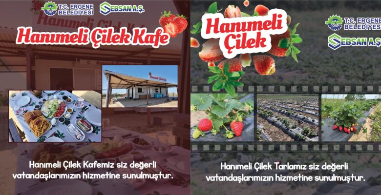 HANIMELİ ÇİLEK CAFE VE LAVANTA
