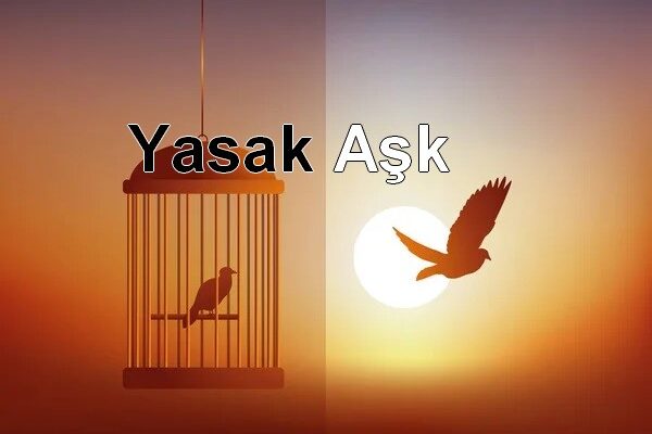 BAŞKAN YARDIMCISI METRESİNİ MEMMUR YAPMAYA KALKTI