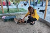 CAN DOSTLARIMIZ DAHA GÜZEL BİR YUVAYA KAVUŞUYOR