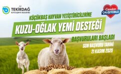 KUZU-OĞLAK YEM DESTEĞİ BAŞVURULARI BAŞLADI