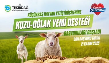 KUZU-OĞLAK YEM DESTEĞİ BAŞVURULARI BAŞLADI
