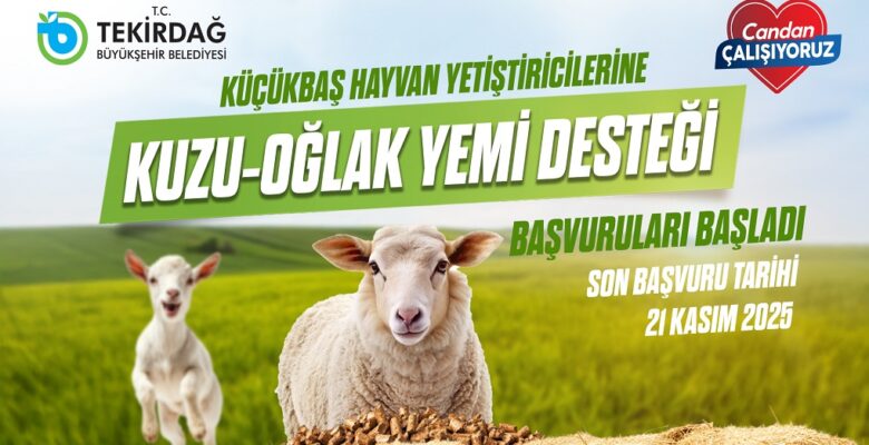KUZU-OĞLAK YEM DESTEĞİ BAŞVURULARI BAŞLADI