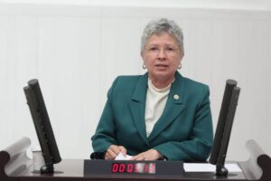 NATO LİMANINI MECLİSE TAŞIDI