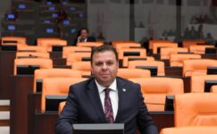 EDİZ ÜN: TÜRKİYE’DE PİRİNÇ İTHALATI YÜZDE 376 ARTTI