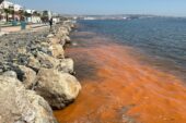 TEKİRDAĞ KIYILARINDAKİ RENK DEĞİŞİMİNİN NEDENİ: MEVSİMSEL ALG PATLAMASI