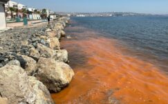 TEKİRDAĞ KIYILARINDAKİ RENK DEĞİŞİMİNİN NEDENİ: MEVSİMSEL ALG PATLAMASI