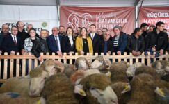 TRAKYA’NIN İLK KÜÇÜKBAŞ HAYVANCILIK FESTİVALİ MALKARA’DA COŞKUYLA BAŞLADI