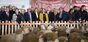 TRAKYA’NIN İLK KÜÇÜKBAŞ HAYVANCILIK FESTİVALİ MALKARA’DA COŞKUYLA BAŞLADI TRAKYA’NIN İLK KÜÇÜKBAŞ HAYVANCILIK FESTİVALİ MALKARA’DA COŞKUYLA BAŞLADI