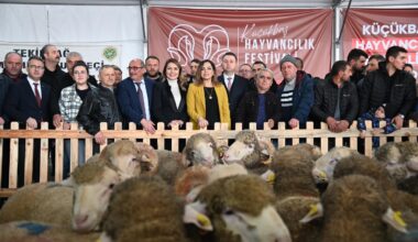 TRAKYA’NIN İLK KÜÇÜKBAŞ HAYVANCILIK FESTİVALİ MALKARA’DA COŞKUYLA BAŞLADI
