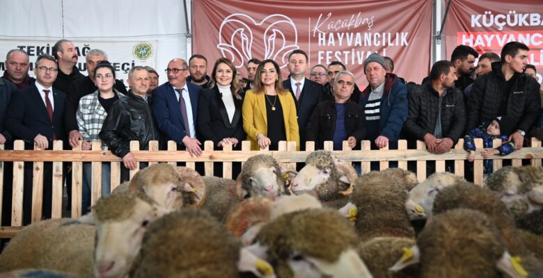TRAKYA’NIN İLK KÜÇÜKBAŞ HAYVANCILIK FESTİVALİ MALKARA’DA COŞKUYLA BAŞLADI