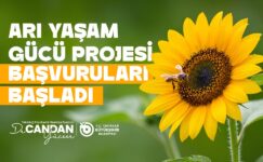ARI YEMİ DESTEĞİ BAŞVURULARI BAŞLADI