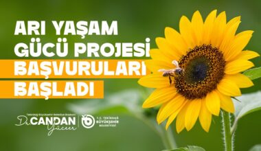 ARI YEMİ DESTEĞİ BAŞVURULARI BAŞLADI
