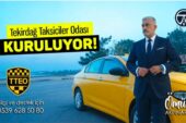AYÇİÇEK DİYARININ SARISI TÜRKİYE’YE YAYILDI