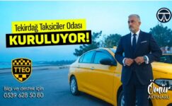 AYÇİÇEK DİYARININ SARISI TÜRKİYE’YE YAYILDI