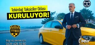 AYÇİÇEK DİYARININ SARISI TÜRKİYE’YE YAYILDI