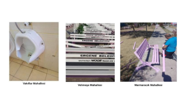 VANDALLARIN SERBEST KALMASINA TEPKİ YAĞIYOR