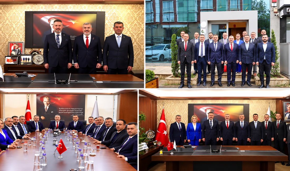 AK Parti Tekirdağ Milletvekili &nbsp;Gökhan Diktaş ve İl Başkanı #AliGümüş